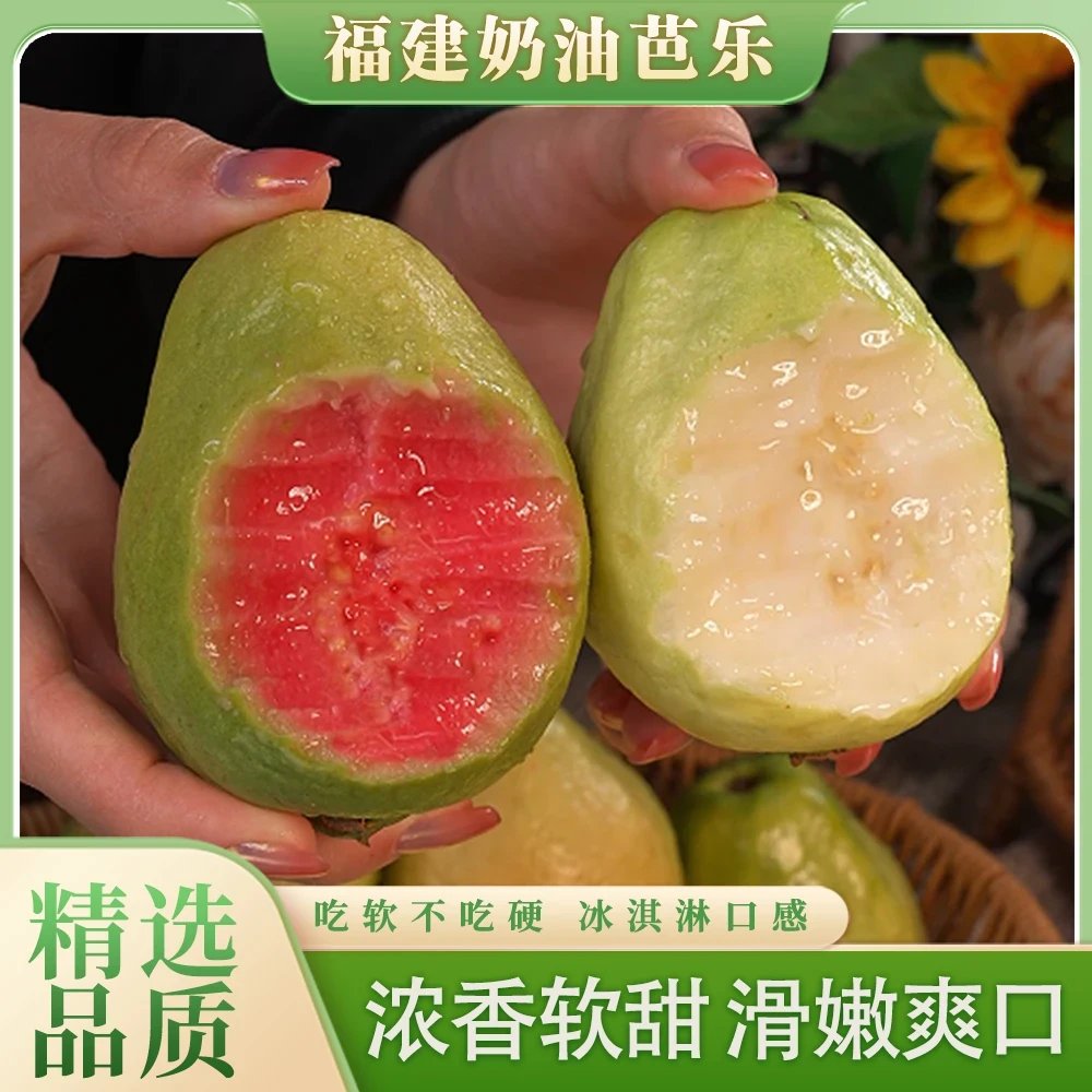 福建奶油红心白心芭乐新鲜软糯爽滑番石榴冰淇淋口感巴乐果3斤起
