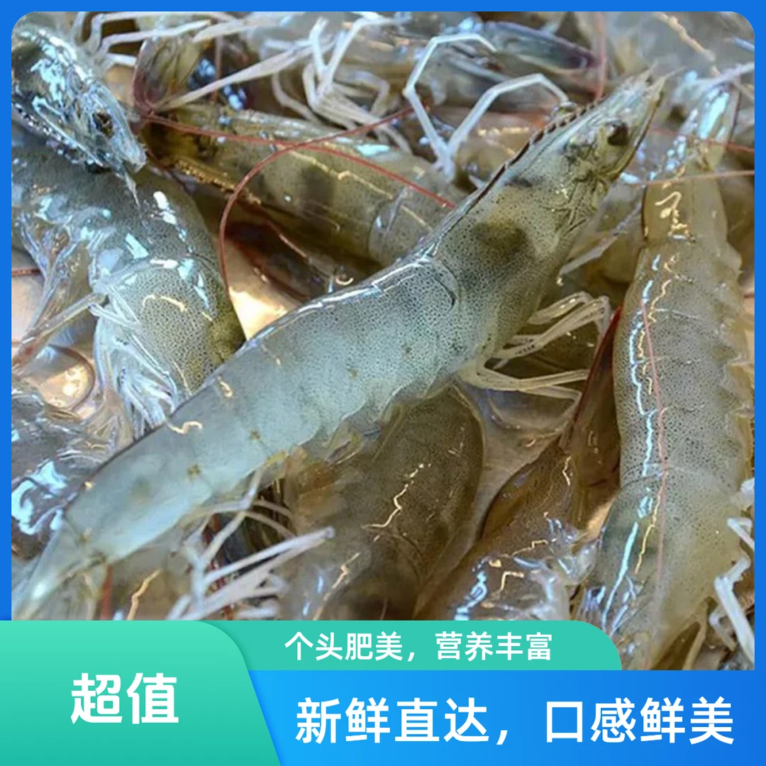 个头肥美 鲜活青虾500g