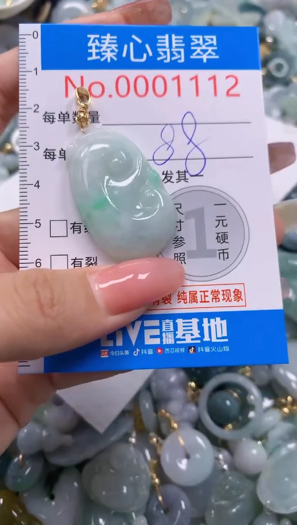 翡翠未镶嵌颈饰1112