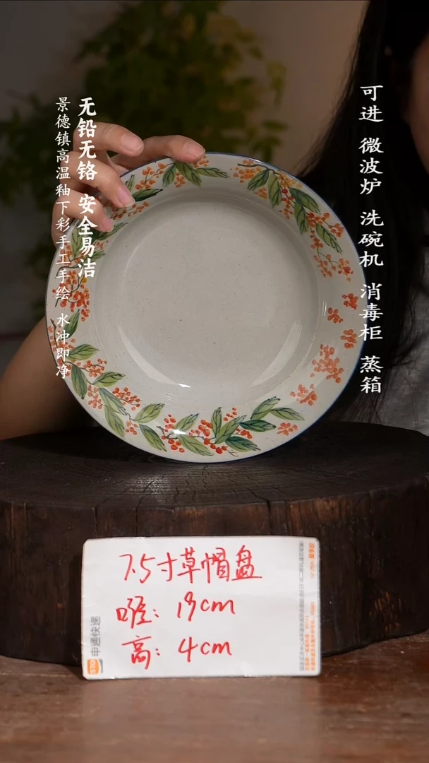 碗陶瓷景德镇高温瓷釉下彩手绘陶瓷