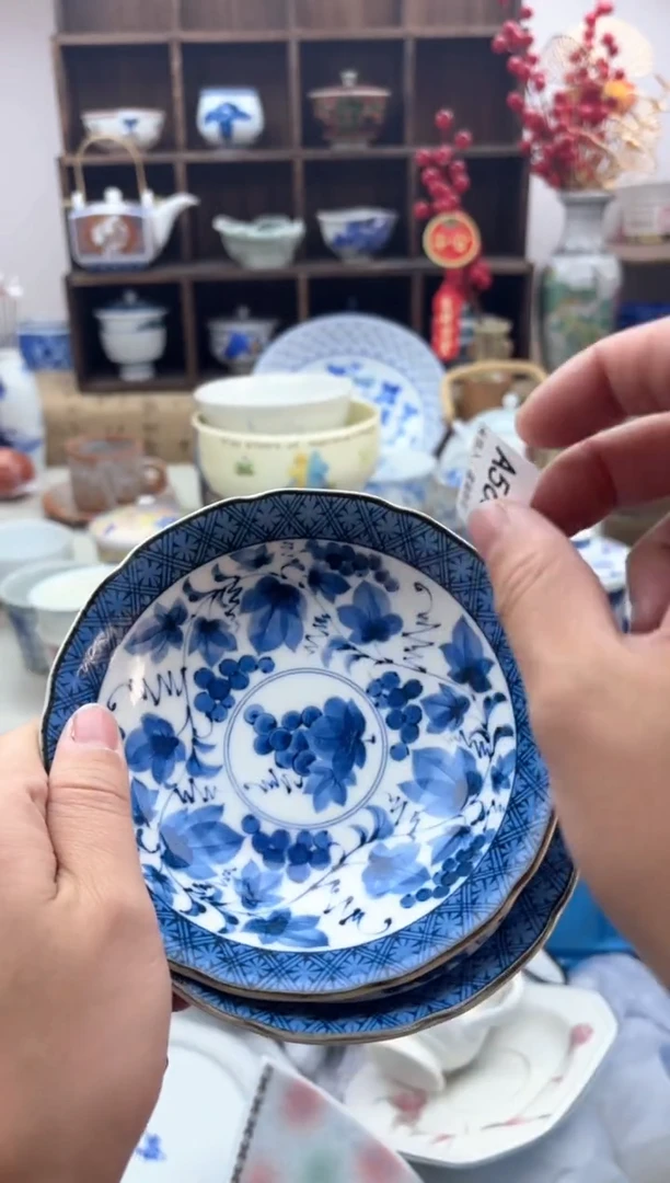 【闪购商品】碟563A.............