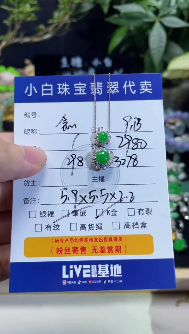 吊坠(不含链)18K金镶嵌翡翠念*套链