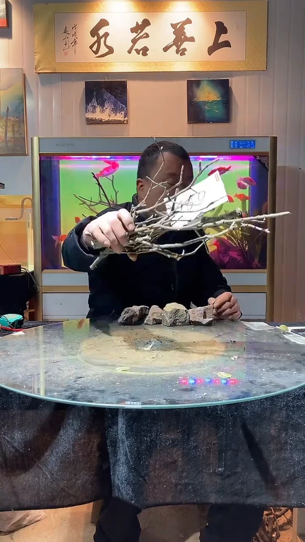 150号天然黄栎木一组