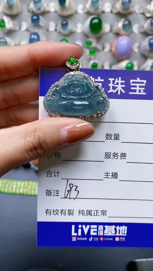 【闪购商品】翡翠颈饰银S925镶嵌0693