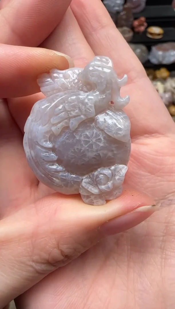 颈饰未镶嵌硅化珊瑚（珊瑚玉）367