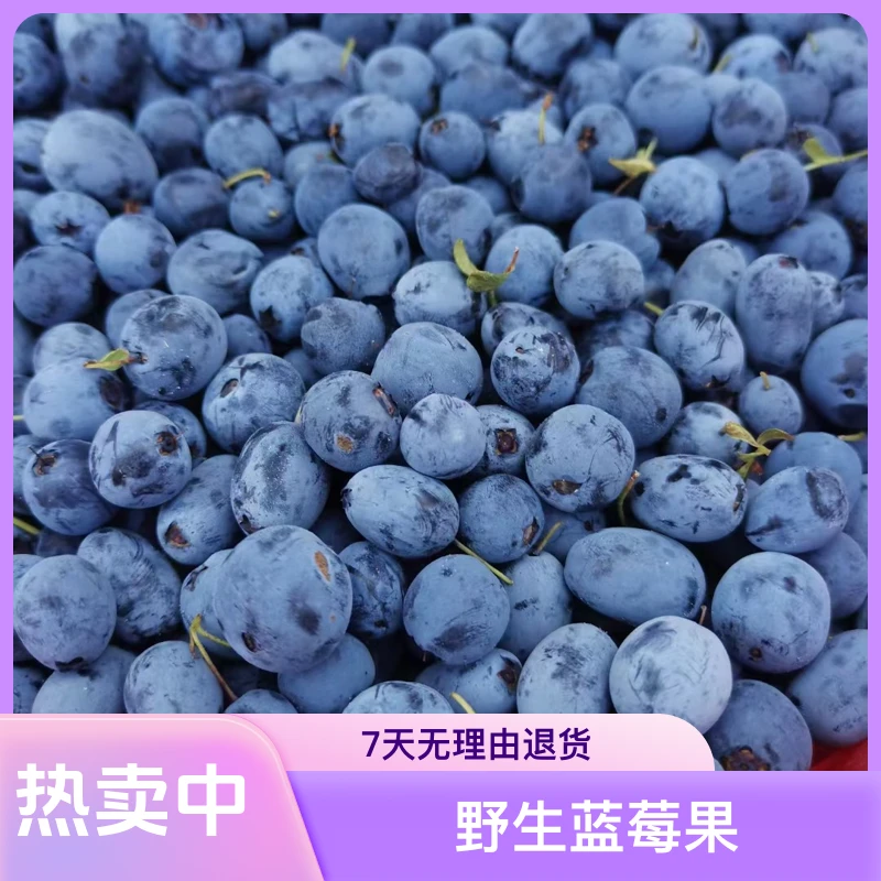 大兴安岭野生蓝莓(都市)泡蜂蜜发顺丰快递