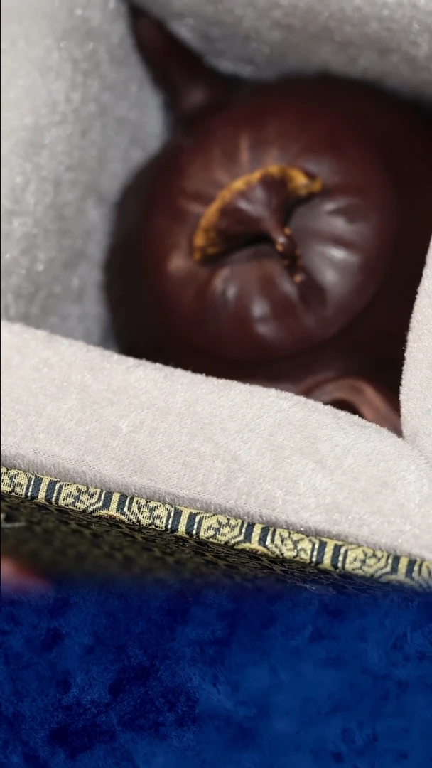 紫砂 宜兴紫砂  莲蓬壶