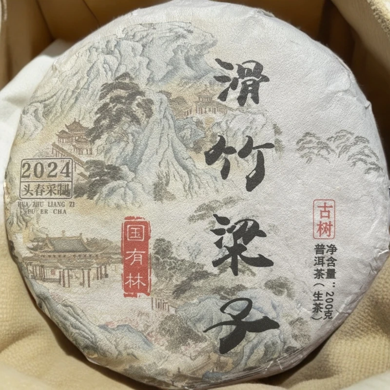 2024年滑竹梁子国有林古树纯料头春生茶