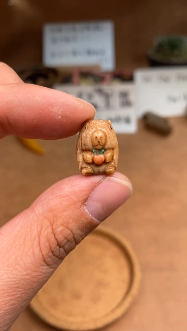 【闪购商品】牛骨其他P173-卡皮巴拉-有棕裂