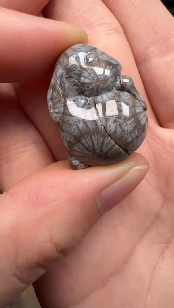 硅化珊瑚（珊瑚玉）未镶嵌颈饰506