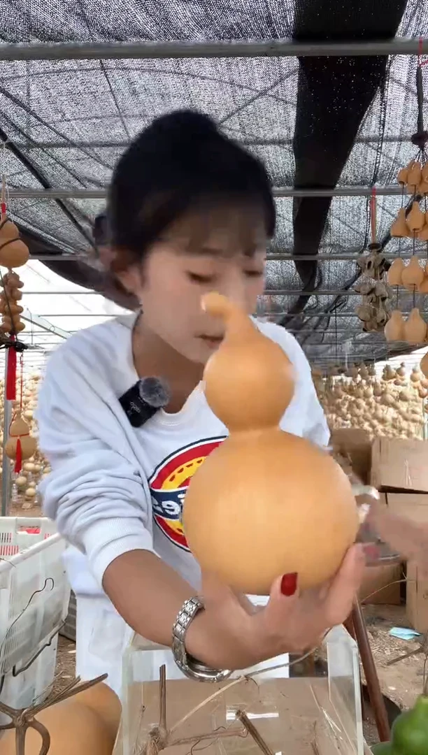 不开花植物046天然葫芦摆件 一物一拍龙头不保售后