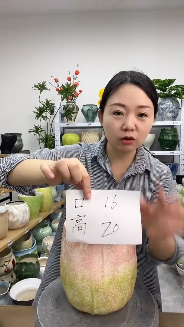 11.22陶瓷花盆直播链接高. 20     口16