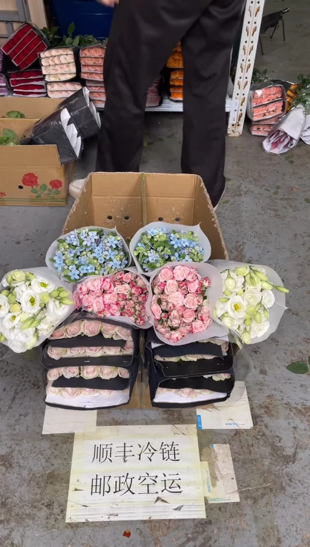 粉红20枝+折射10枝+白桔梗800克+蓝星花