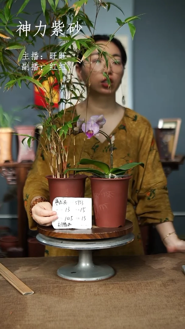 紫砂花盆5953+ 紫砂花盆紫砂