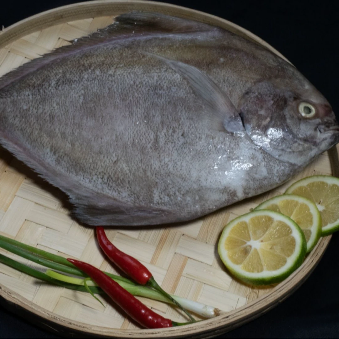 5斤装600-900克一条黑鲳鱼深海乌鲳黑仓鱼鲜活大黑鲳顺丰京东包邮