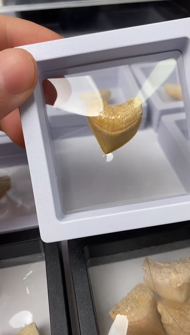 精美摆件创意礼物家居配饰新年礼物个人收藏