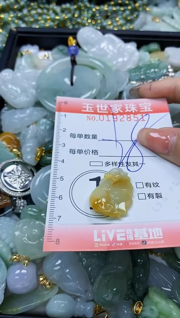 【闪购商品】翡翠颈饰未镶嵌闪购商品00192851