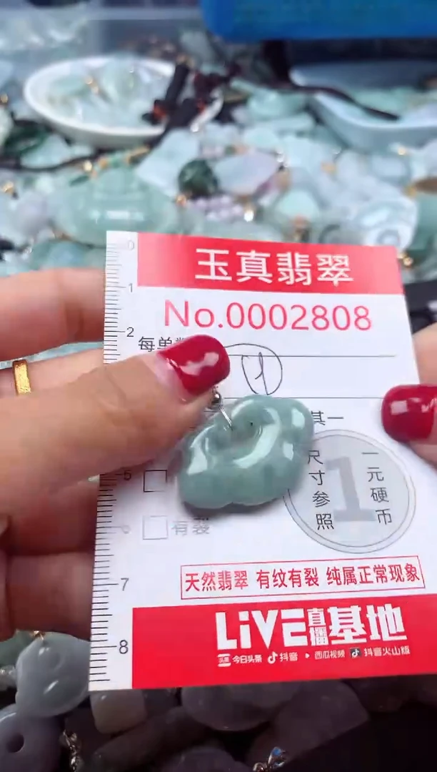 颈饰未镶嵌翡翠2808