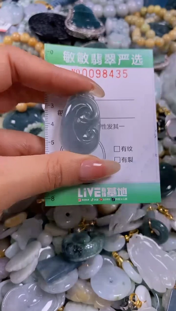 【闪购商品】翡翠颈饰未镶嵌闪购0098435