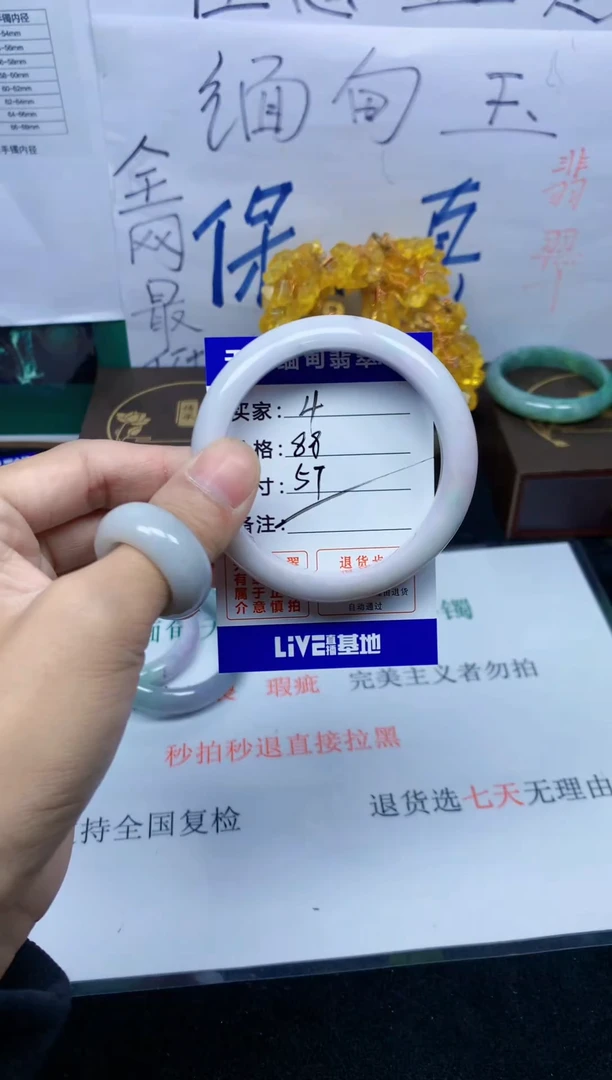 未镶嵌手镯翡翠4