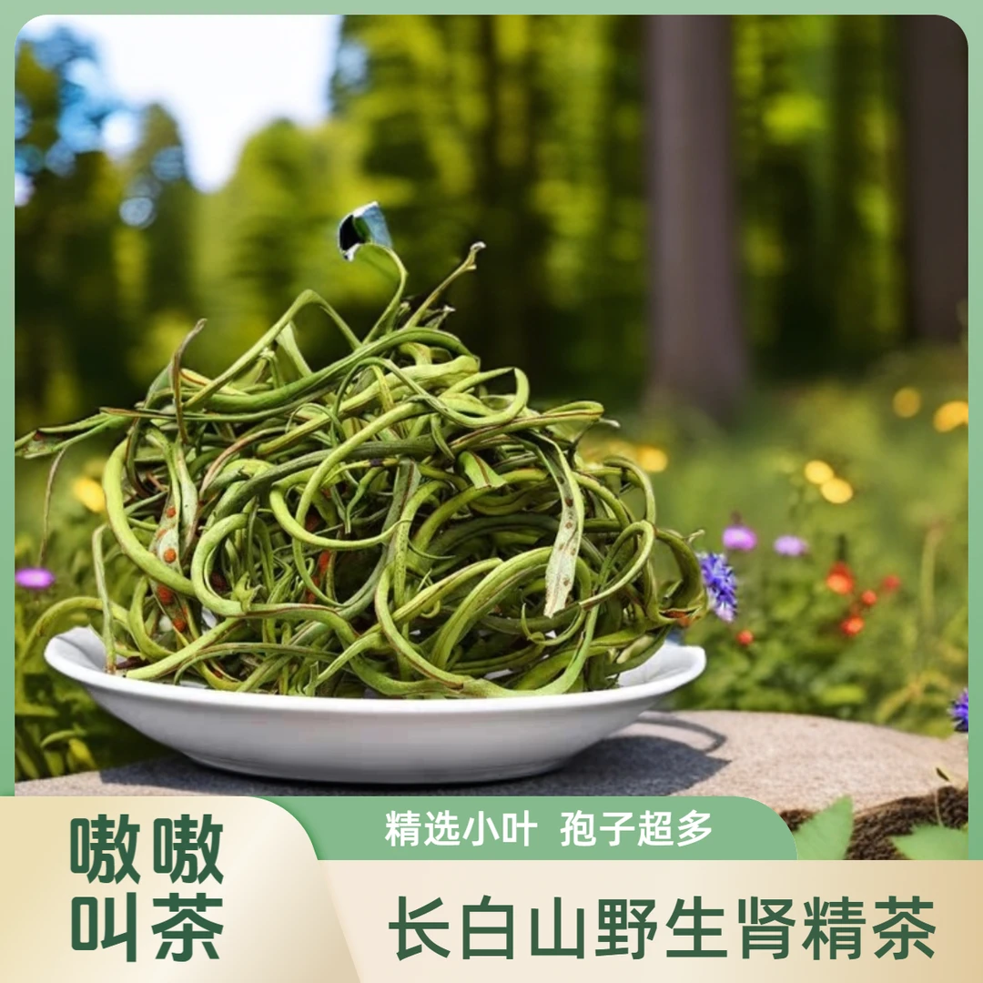 长白山小叶黄金草腎经茶