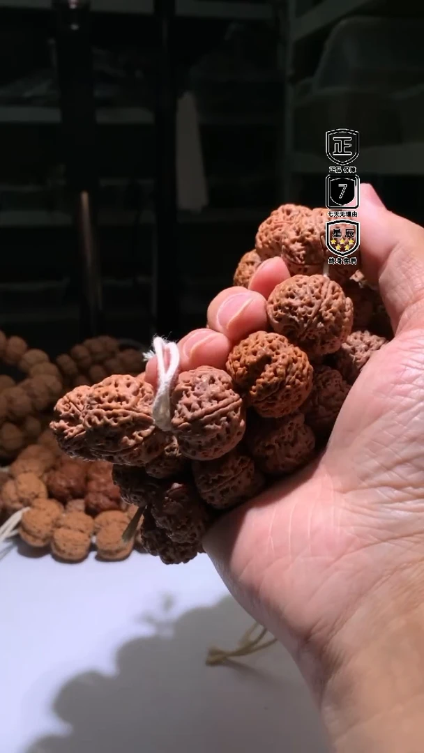 金刚菩提手串020