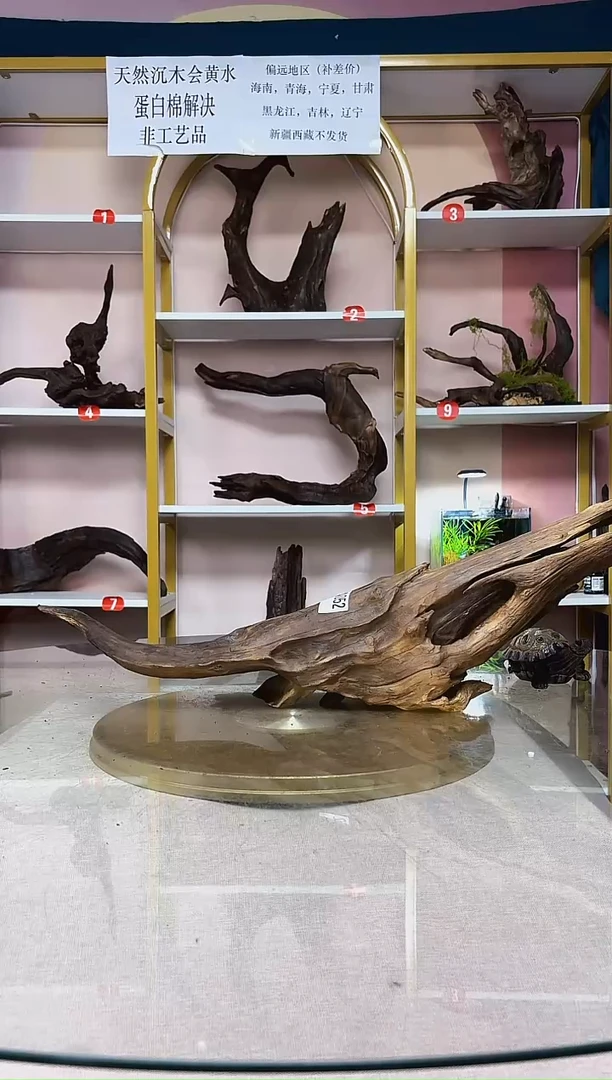 小*SQCM一物一拍A052