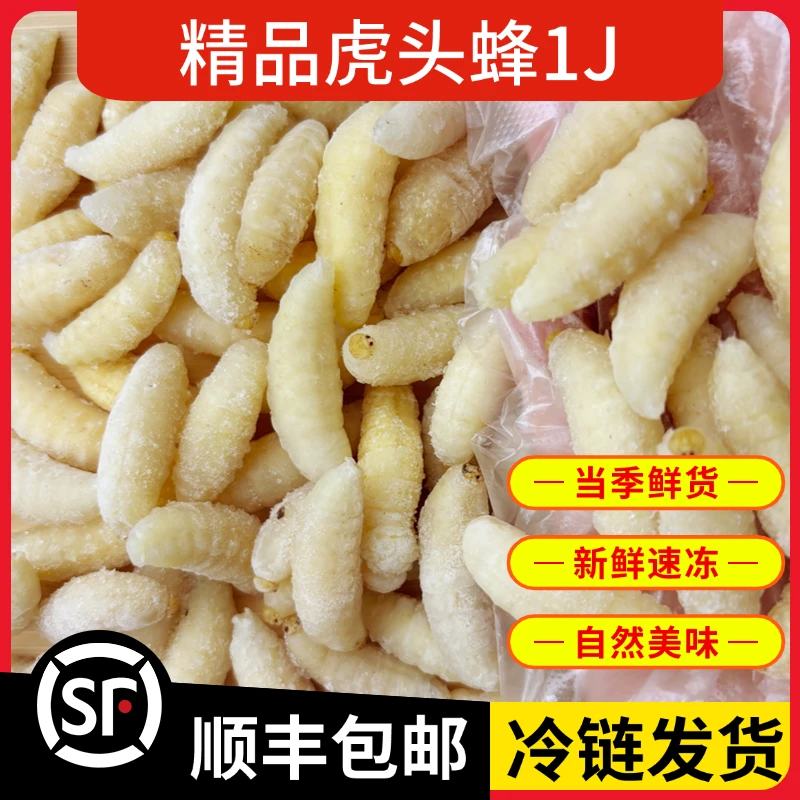 虎头蜂1蜂蛹新鲜冰冻马蜂金环虎头蜂地蜂土蜂出售鲜活马蜂蛹