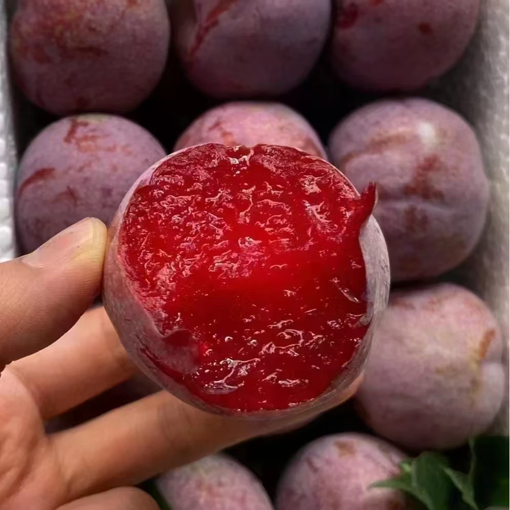 新鲜信宜市钱排镇银妃三华李李子/斤广东省