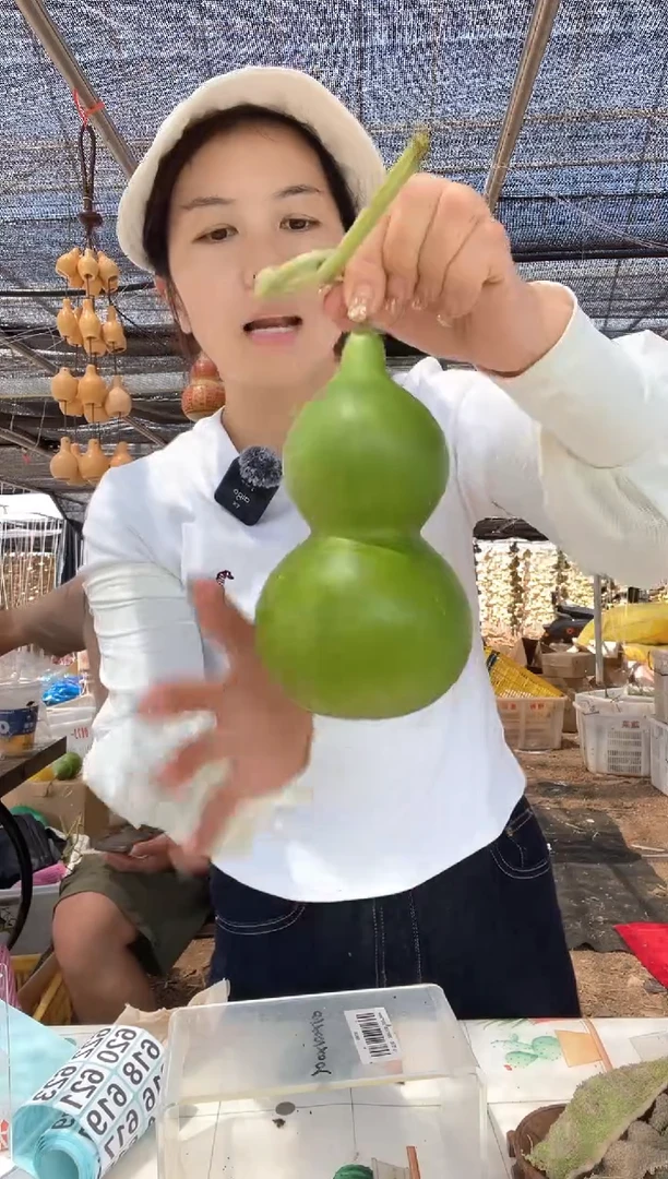 613天然葫芦摆件 一物一拍龙头不保售后