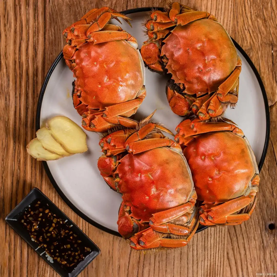 【活蟹】苏州精品大闸蟹【母蟹2两】 拍8只送2只 到手10只 顺丰京东冷链空运【死蟹包赔】 SF