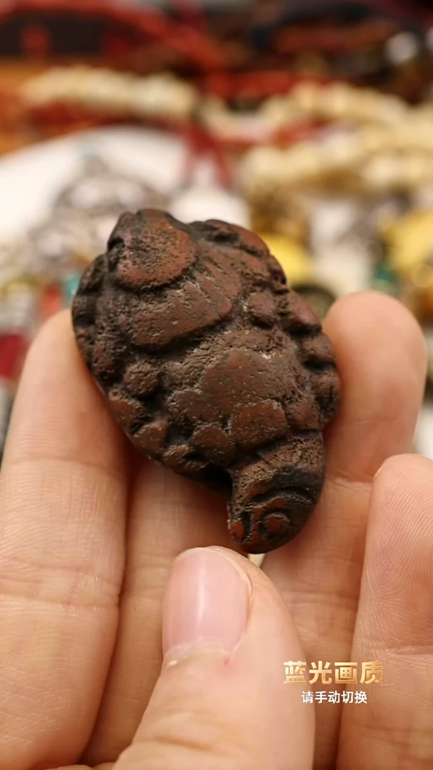 老娘啦蝎子11111111111111