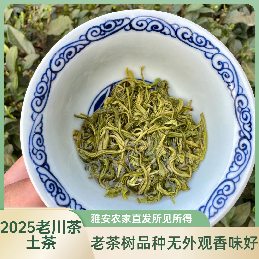 【土茶】【老川茶】明前春茶浓香回甘四川雅安农家高山茶叶中秋好物