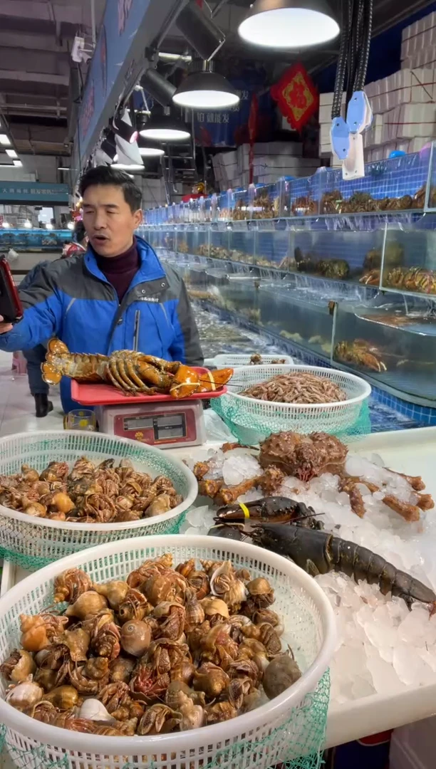 中国大陆弱氧波龙1只，母虾，3.9斤