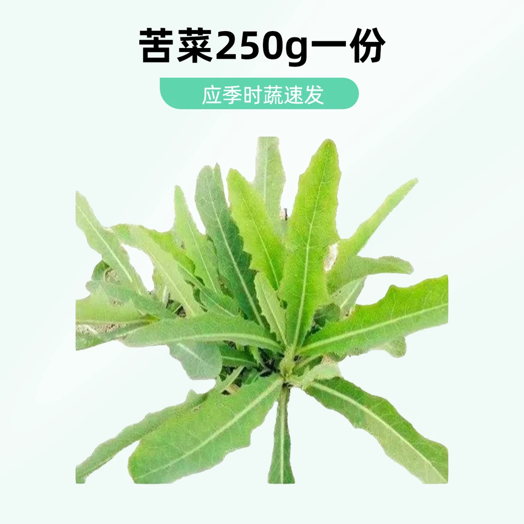 苦菜 250g /份 绿色蔬菜