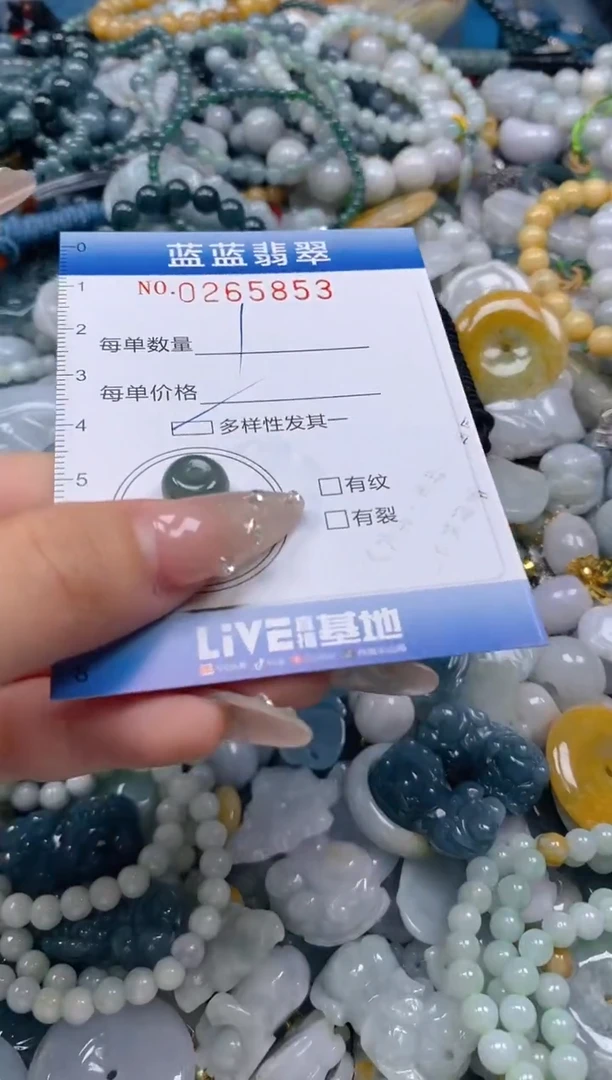 翡翠未镶嵌颈饰闪购0265853多样性发其一