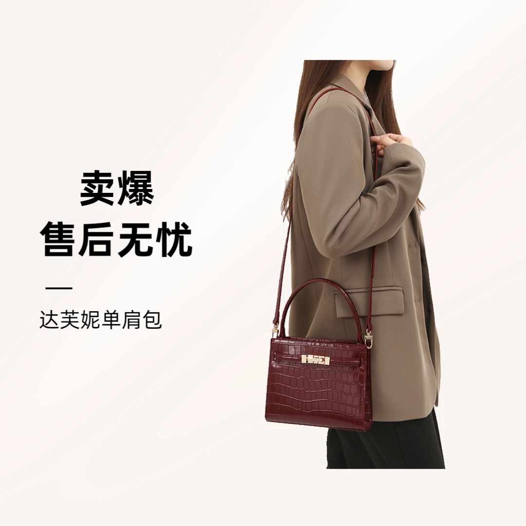 Daphne/达芙妮2025新品  小众时尚简约百搭设计高级大方单肩包包