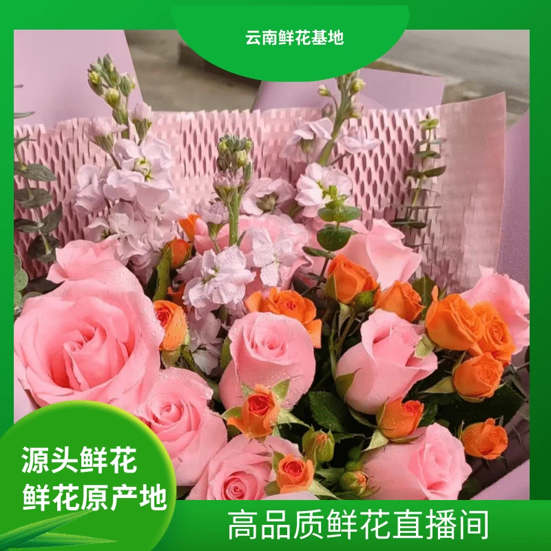 颜花【戴安娜玫瑰福利】云南鲜花基地直发 适合居家养的长期花