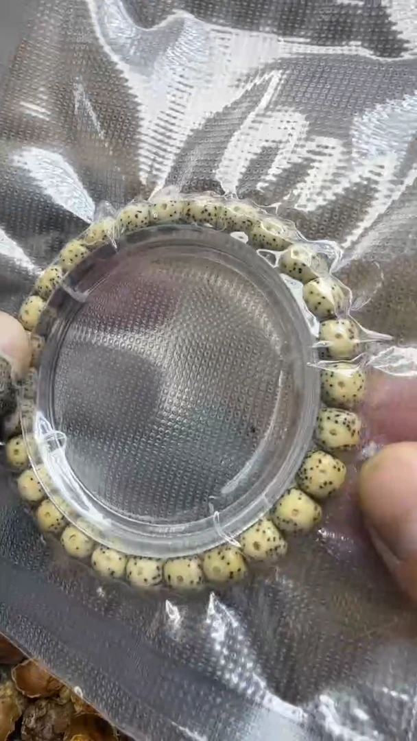 吊坠星月菩提青稞手作 13号  单圈