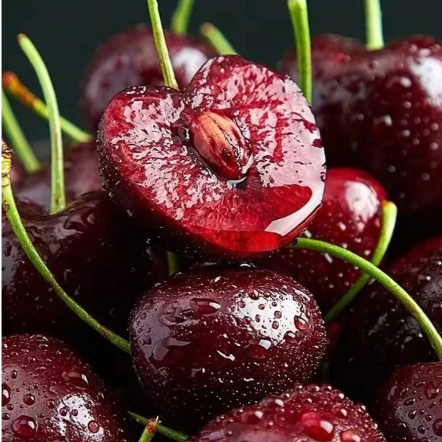 【原箱5斤】顺丰包邮智利进口海运车厘子拉宾斯3J-4J内附果径卡w