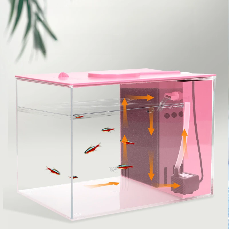 桌面小鱼缸爬宠饲养箱雨林生态造景缸宠物角蛙蜘蛛蜥蜴守宫养殖盒