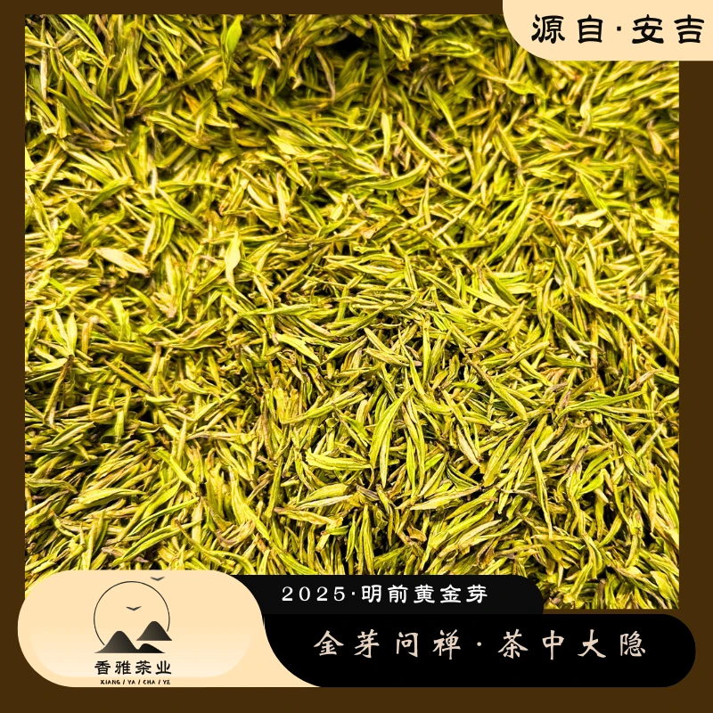 【茶中大隐·黄金芽】2025年新明前安吉原产地嫩芽栗香