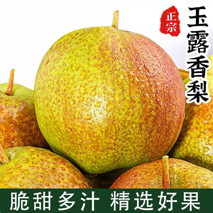 山西玉露香梨新鲜水果香甜多汁产地直发9颗装