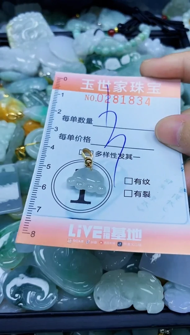 翡翠未镶嵌颈饰闪购0281834