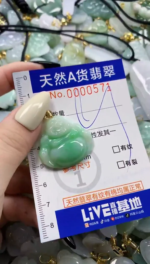 颈饰未镶嵌翡翠天然A货翡翠