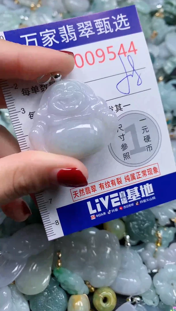 颈饰未镶嵌翡翠9544