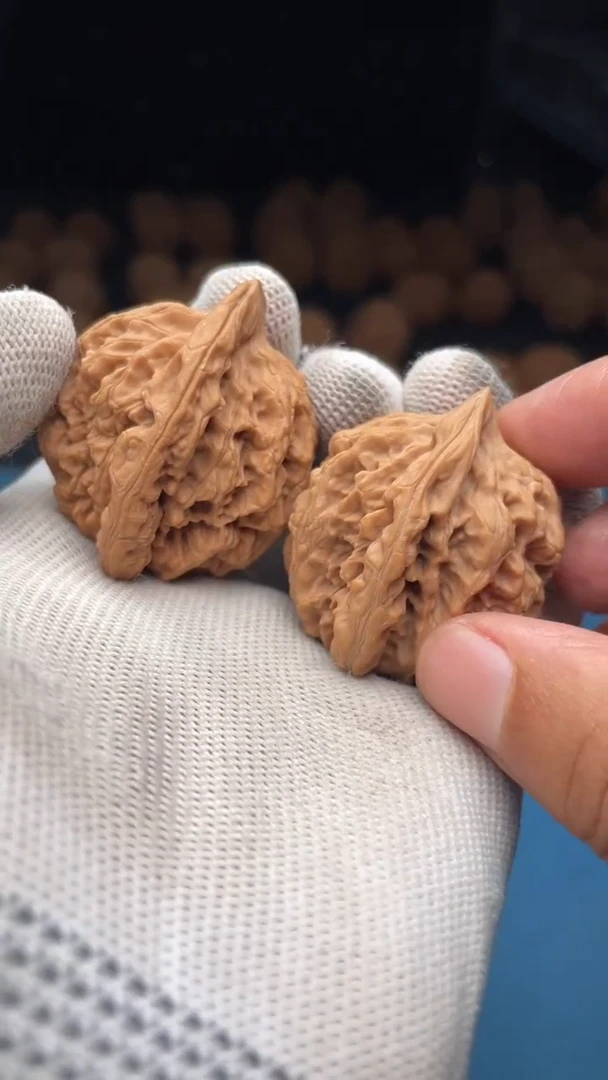 桃核把件a167  龙脊  37尺