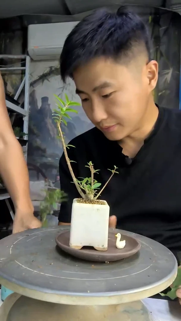 小*物中青园艺一物一拍192