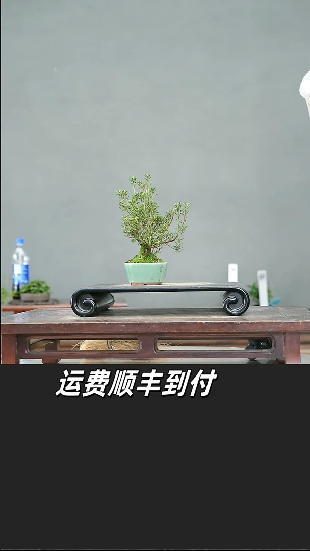 嘻****哈52