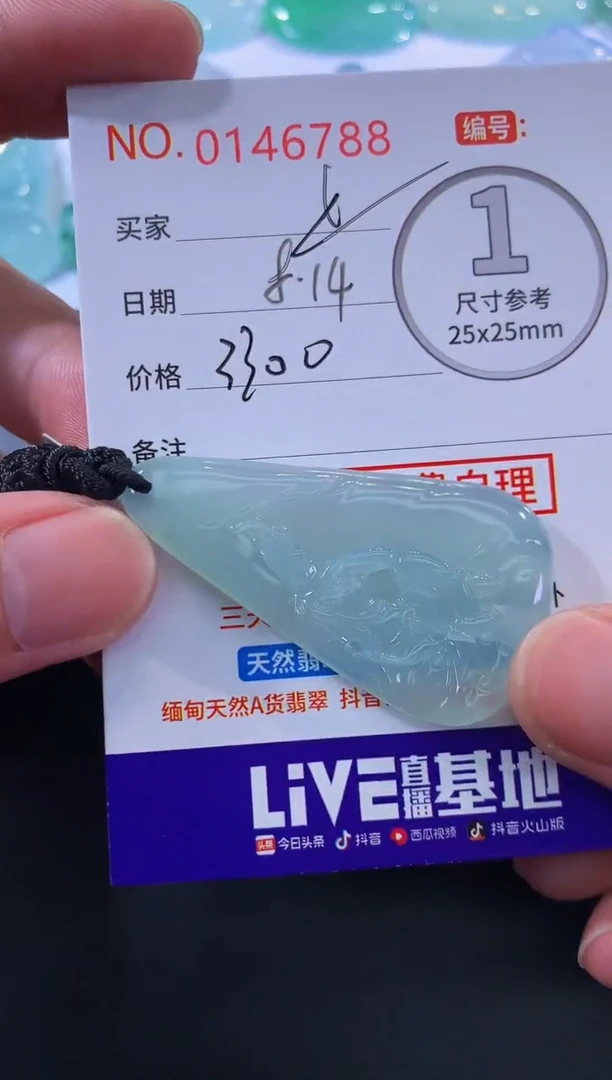 翡翠未镶嵌颈饰༄****࿐！